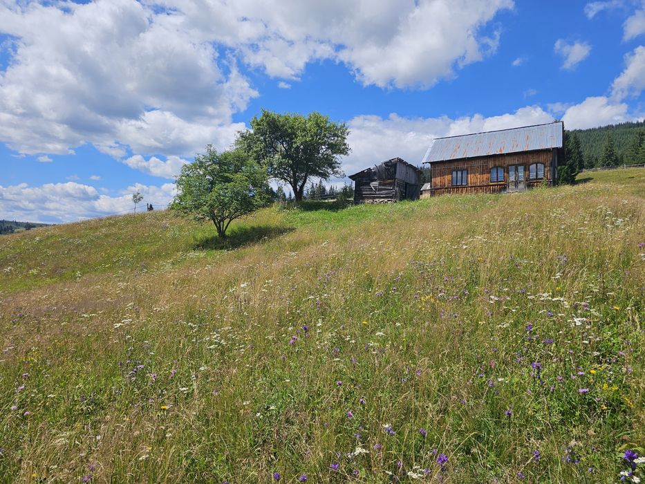 Teren de vanzare extravilan in Bucovina zona Breaza