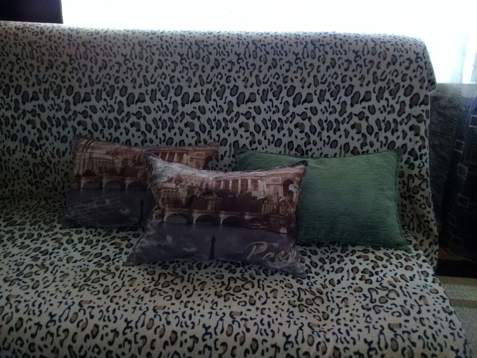 1,5ка посуточно в центре