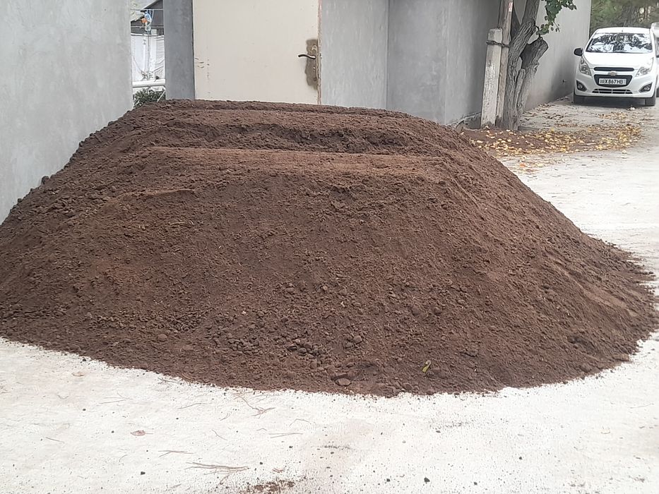 Gong biyagons etqazip beramiz