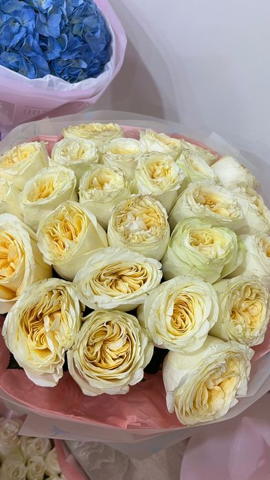 Розы, 25шт белые
