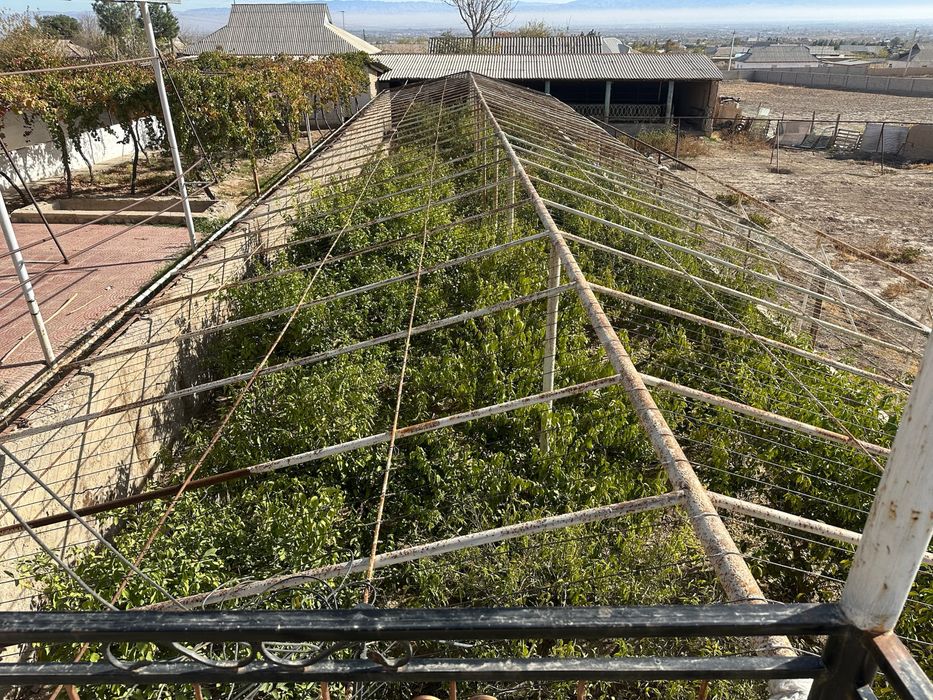 Denov tuman Daxana mahallada hovli sotiladi