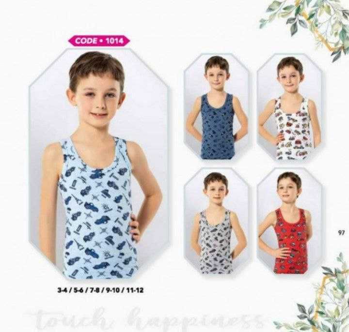 Mayka asorti dlya malchikov