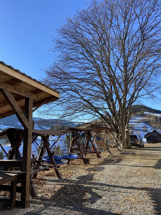 Cabana Paltin Arieseni
