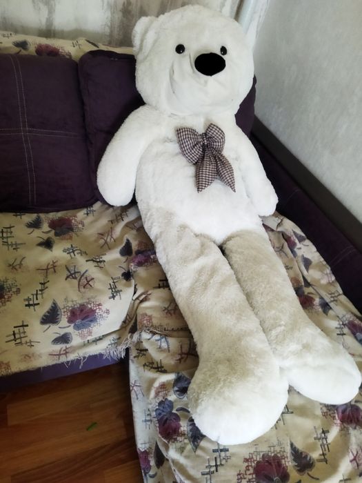 Продам медвежонка