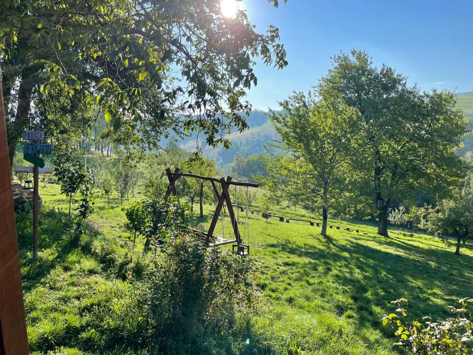 Inchiriere cabanuta la deal, in Bihor