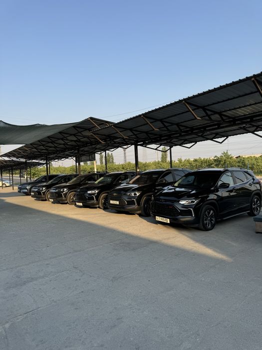 Trackerлар сотувда. Хамма позициясидан бор.