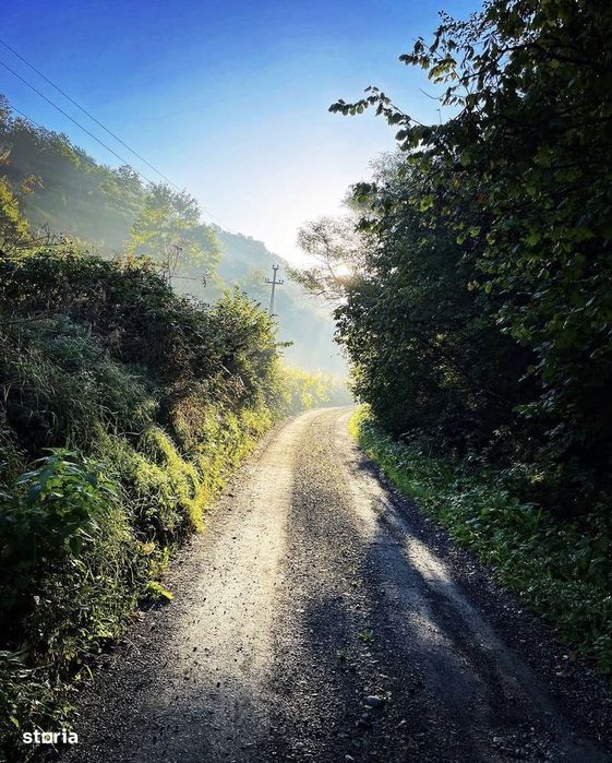 Teren 16.418 mp + Casa la gri 159 mp | Potențial dezvoltare turistica