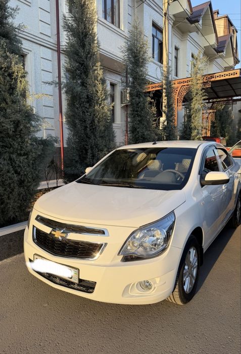 Cobalt , выпуск 2024год