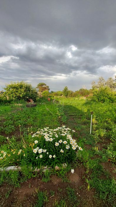 Продам дачу сад Здоровье