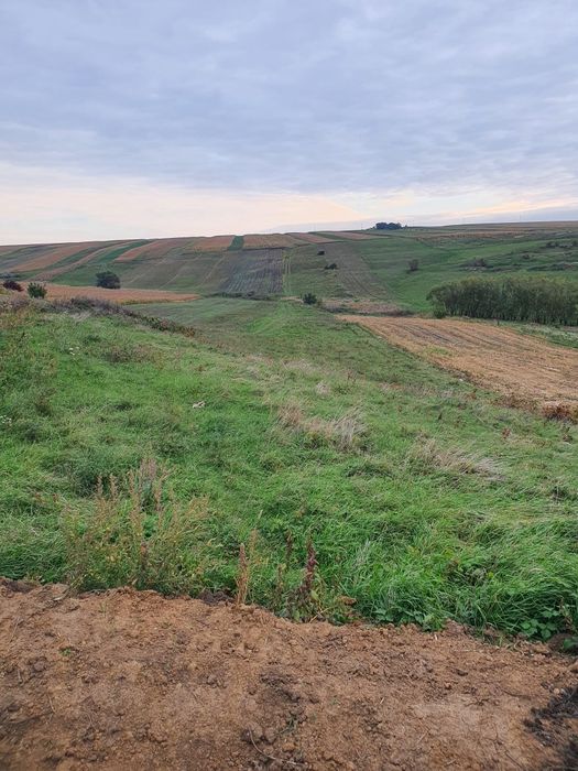 Teren investitie in rate