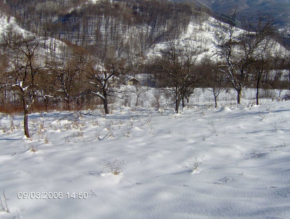 Продава се Парцел в Априлци - 19000 кв.м за 5 €/кв.м - Снимка #4