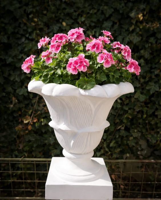 Ghivece  și jardiniere din beton ,rezistente pentru grădina /curte