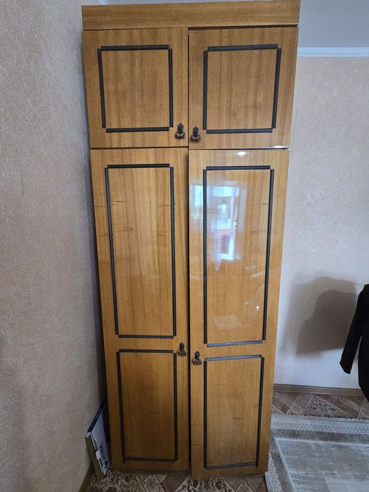 Шкаф  плательный