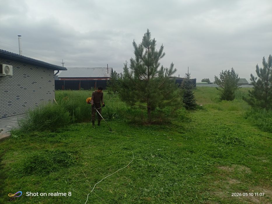 Покос травы  от 3000 сотка