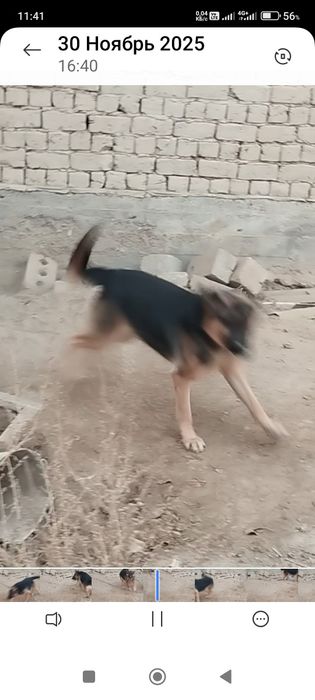 Сатлады срочнаааа