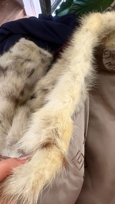 Haina de blana naturala de Lynx