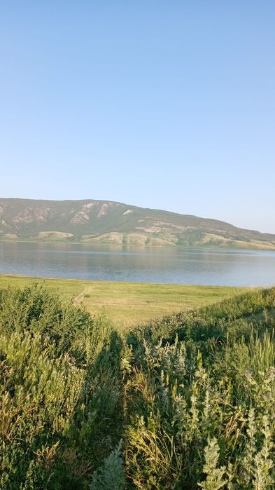 Сдам дом посуточно в живописном месте