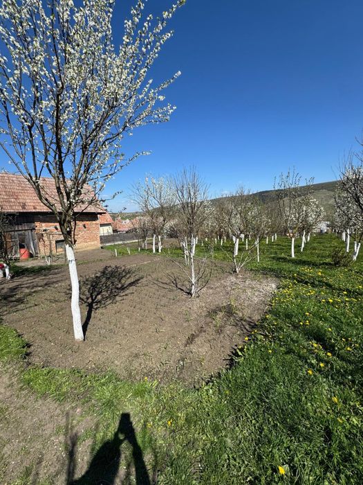 De Vanzare Casă in Petresti de Jos,jud Cluj