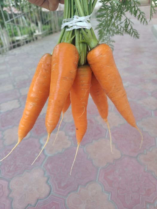 Sabzi sotiladi.Ertachi sabzi