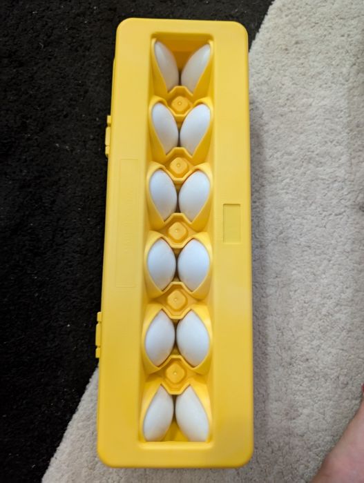 Oua cu forme geometrice, noi-sigilate