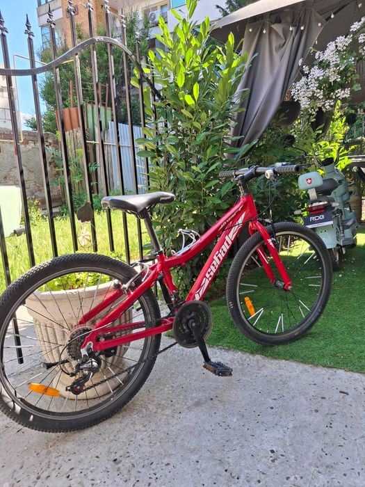 Bicicleta Pegas.