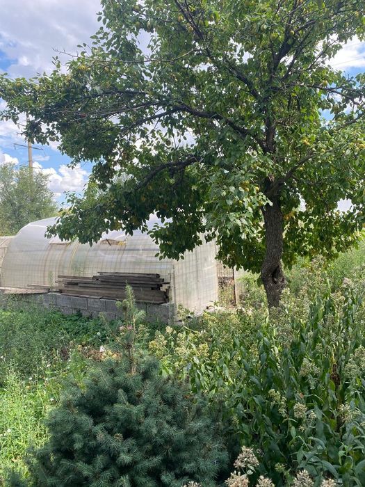 Продам дачу СК Бутак 9, 2 участка.