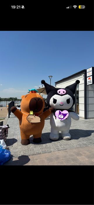 Аниматор для поздравления