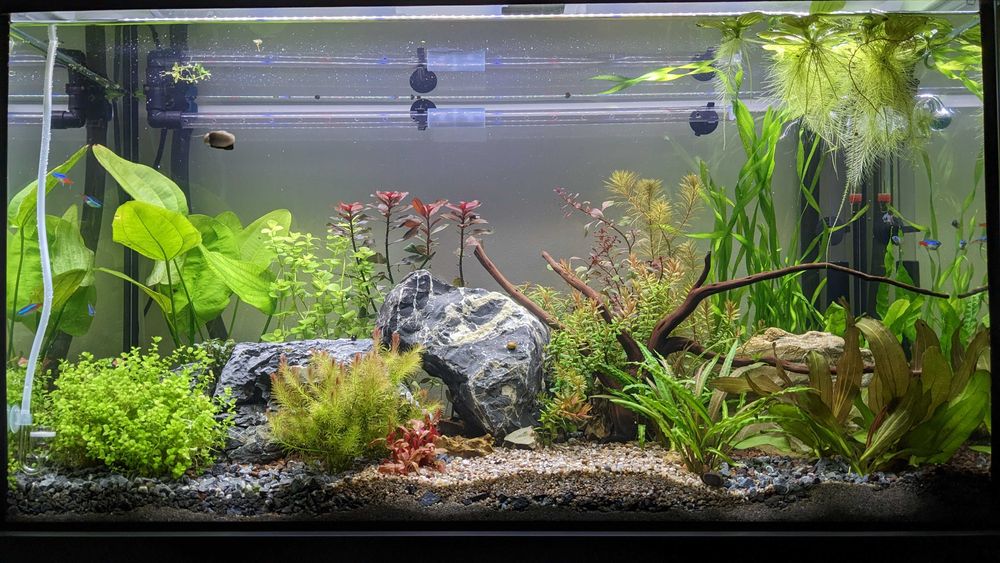 1 бр. LED осветление Eheim Light Classic 74 см