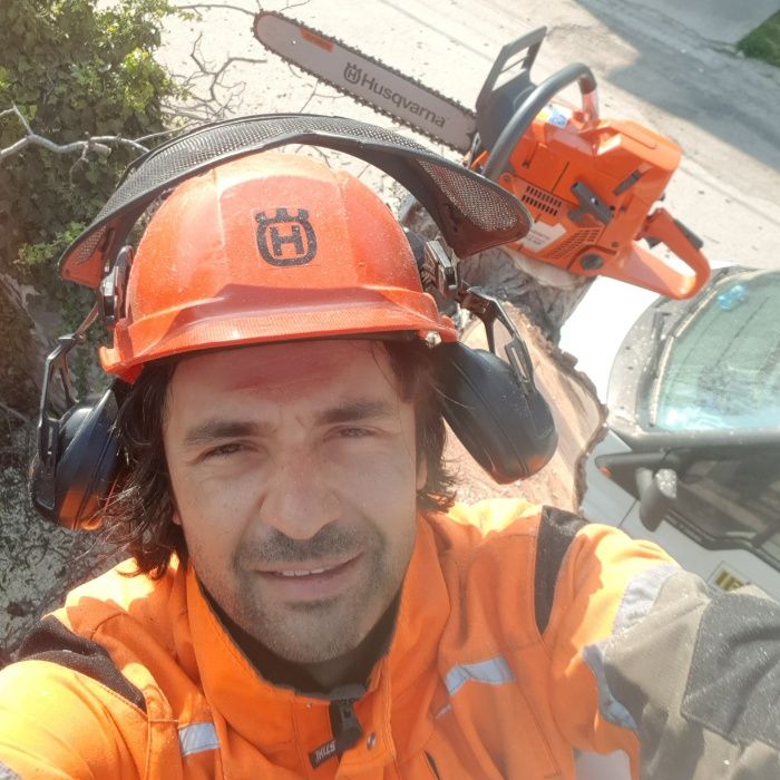 Рязане и премахване на опасни дървета Пловдив щил stihl husqvarna