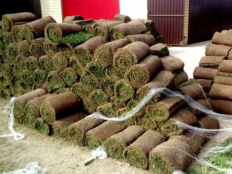 Gazon Rulonli bor. Посадка готового рулонного газона за 1 день