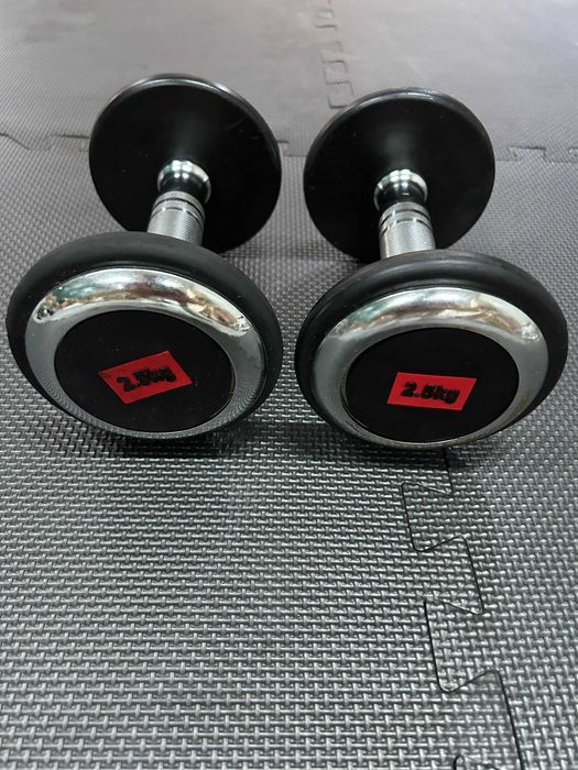 Set gantere profesionale cu cauciuc 5 kg, 2 x 2,5 Kg