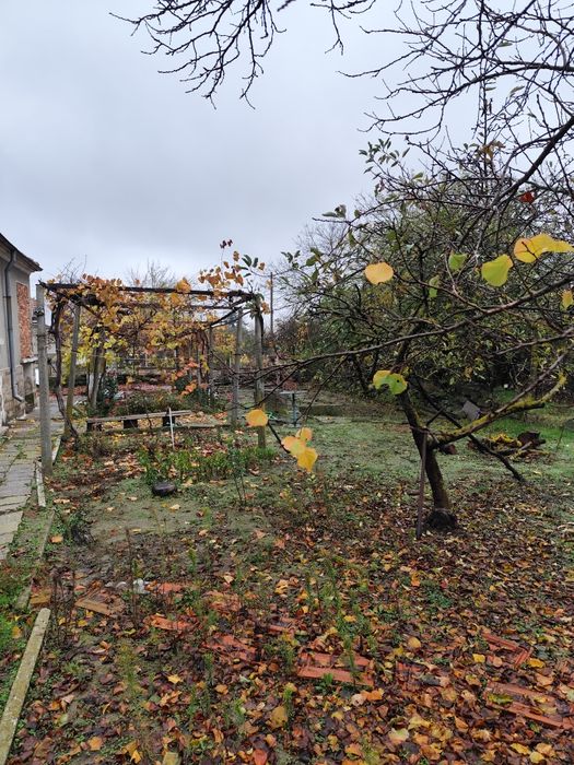 Продава се Къща в с. Есен, Област Бургас - 57 кв.м за 224 €/кв.м - Снимка #5