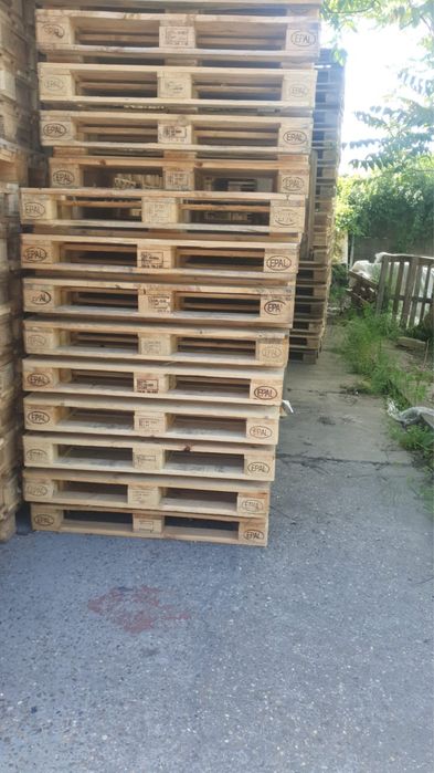 Vand euro si non euro Paleti