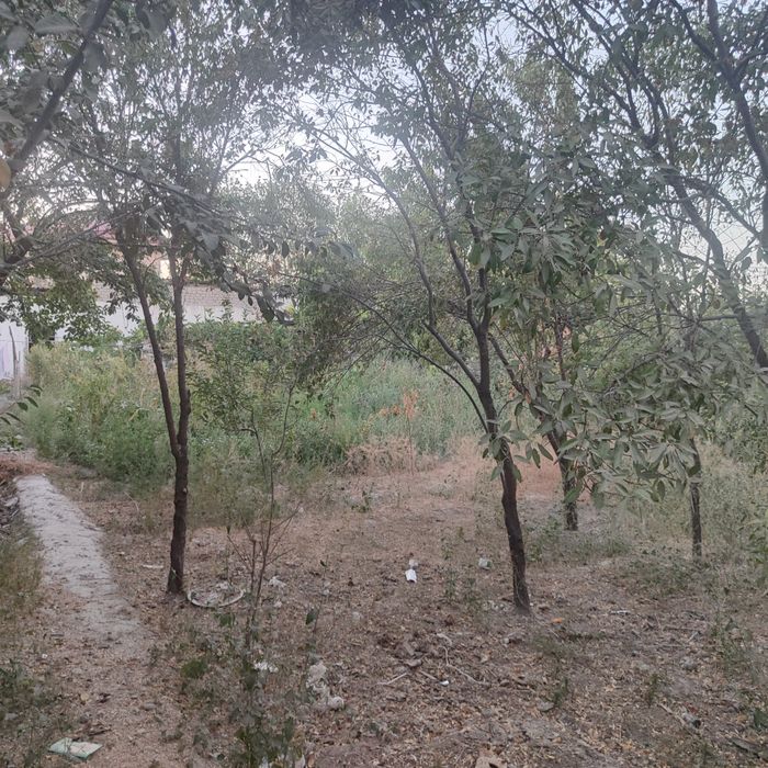 Ер сотилади 6 суток