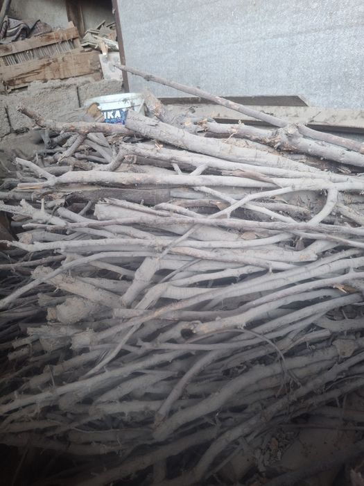 ПОДАЮТСЯ ДРОВА в большом количестве