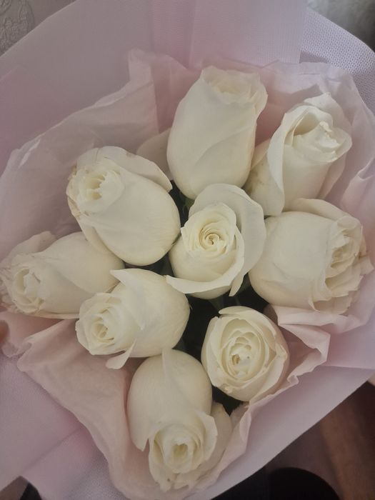 Цветы гул продам