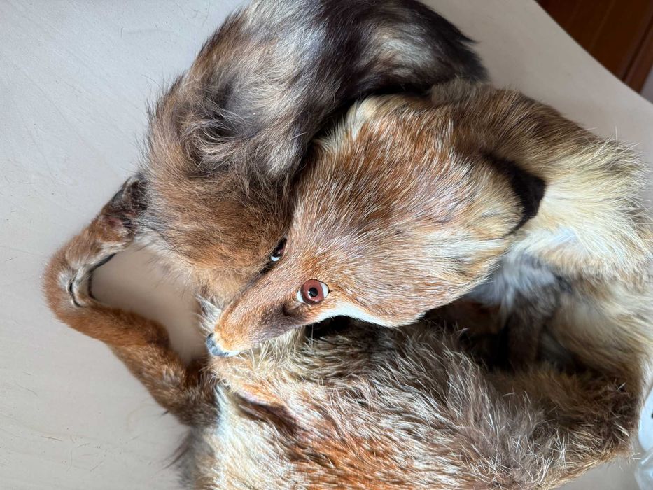 Яка шал лисица естествена кожа