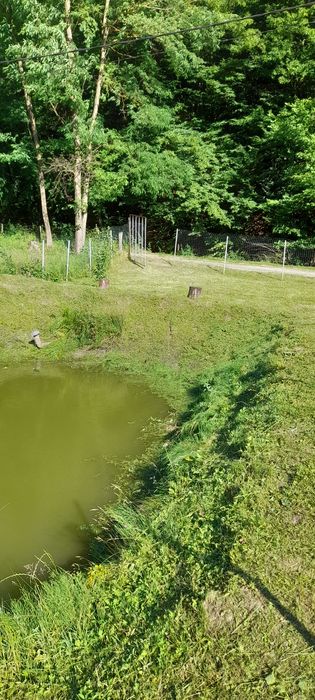 De vânzare balta de pescuit