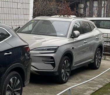 byd champion SMART DRIVE 2026 model narda grey