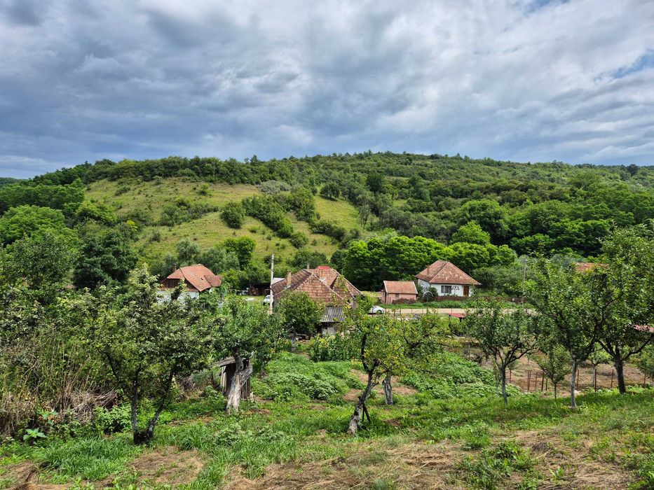 Casa traditionala la tara cu teren – Sat Măhal, comuna Sânmartin, județul Cluj