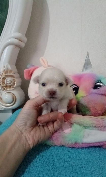 МальЧишки готовы к брони