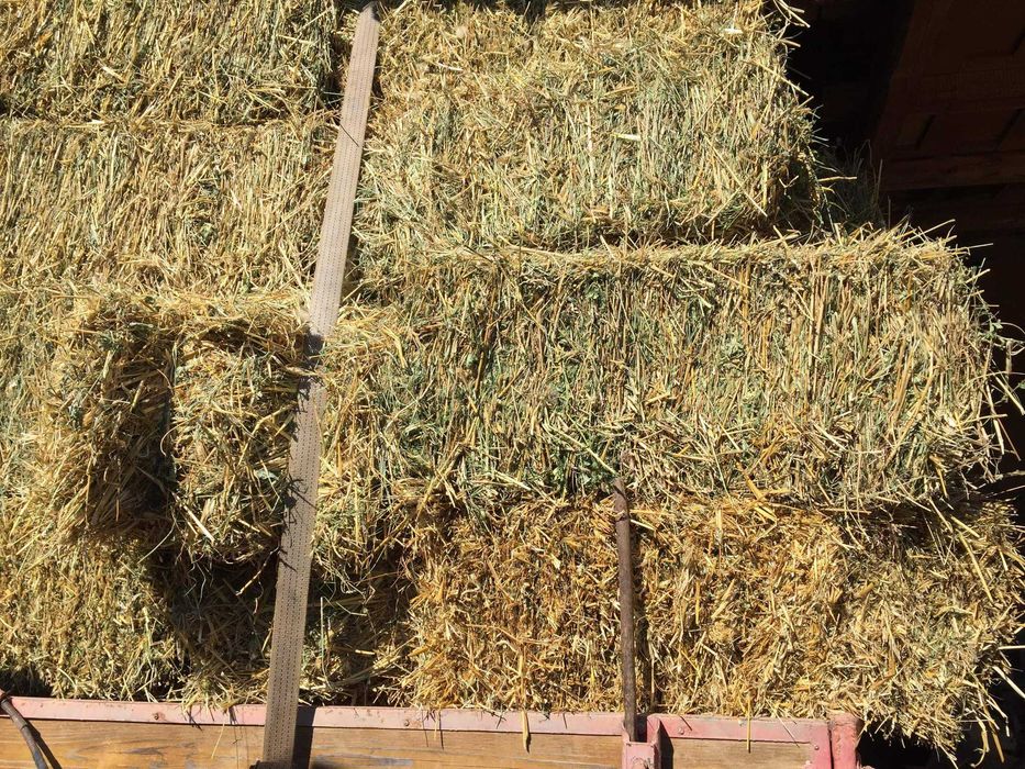 Vand baloti de fan, lucerna si otava