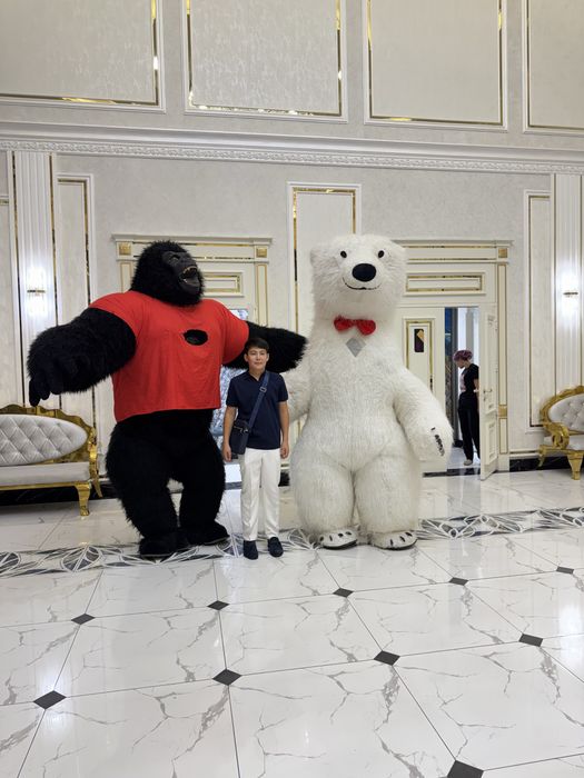 Мишка Тедди Аниматор Прокат Умка Аю