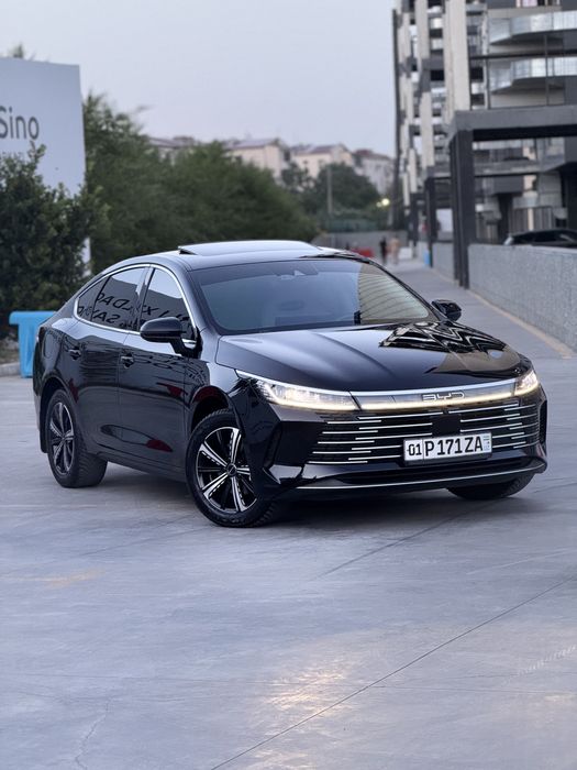 Byd chazor gbrit