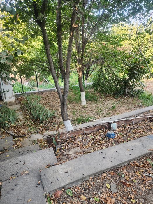 Продаётся дача с кадастром