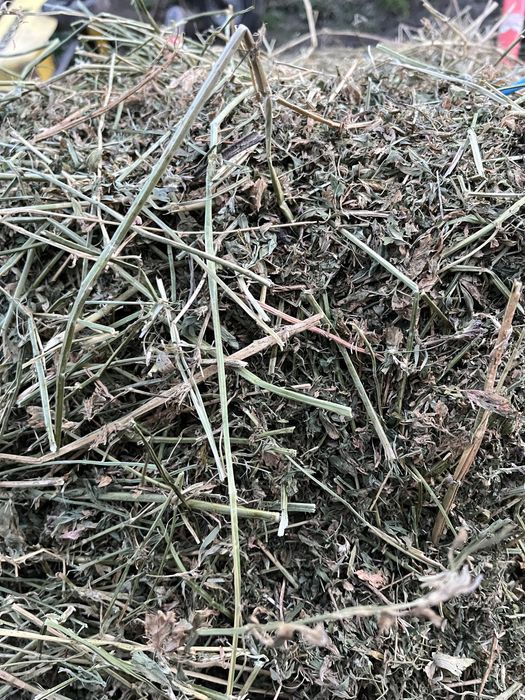 Vând baloti de lucernă