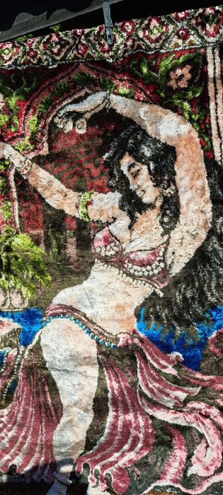 Carpeta Răpirea din Serai