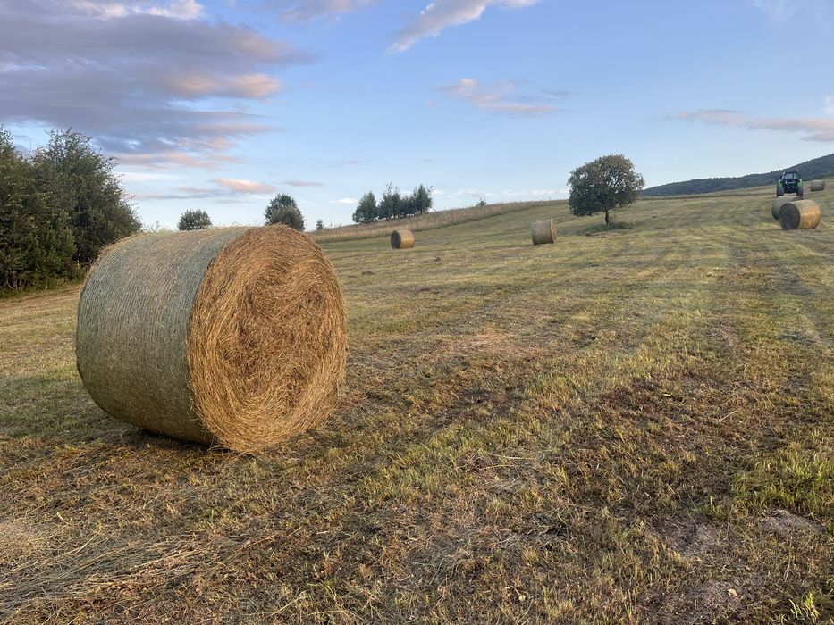 Baloți rotunzi fân pe plasă