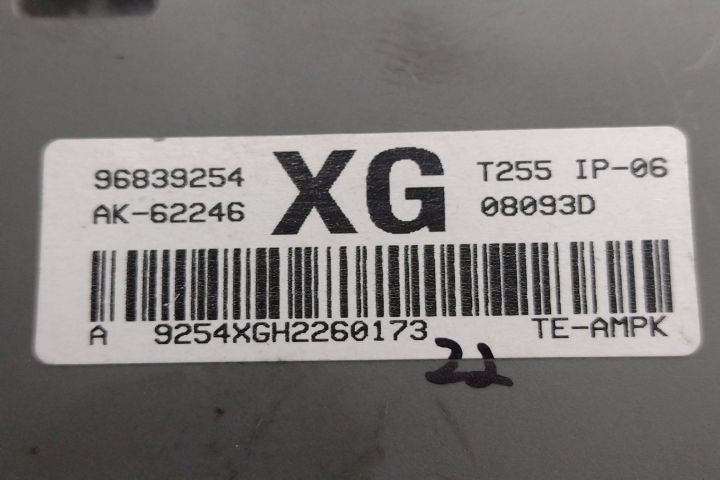 Panou  Sigurante 96839254XG Chevrolet Aveo  seria