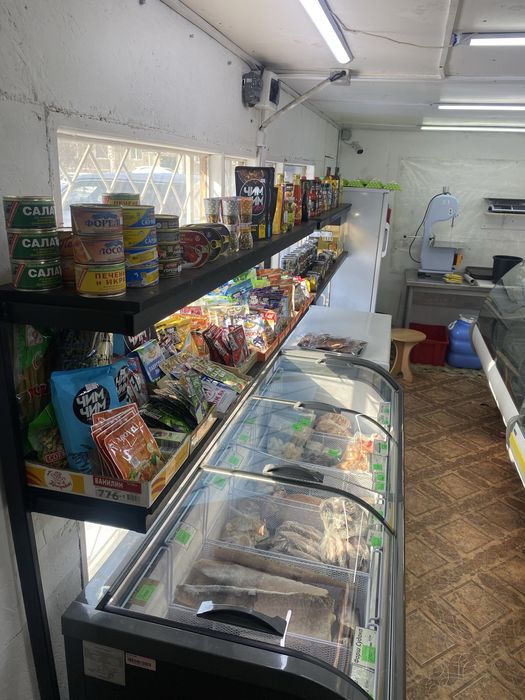 Действующий бизнесс